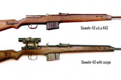 G-43-Rifle